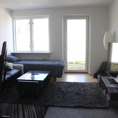 Cozy One * 罗斯基勒