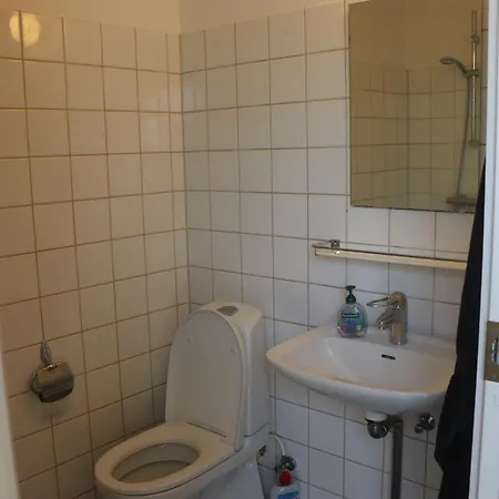 Cozy One * 罗斯基勒