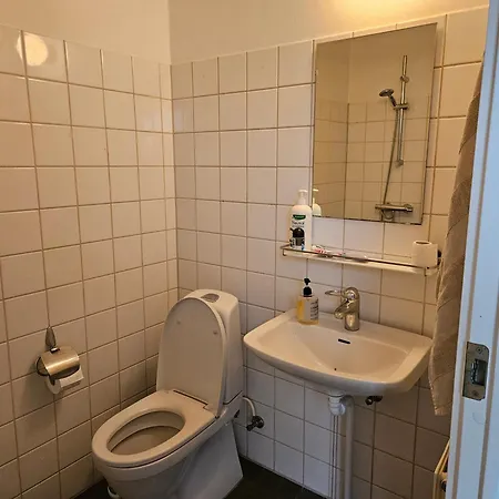 Cozy One 罗斯基勒